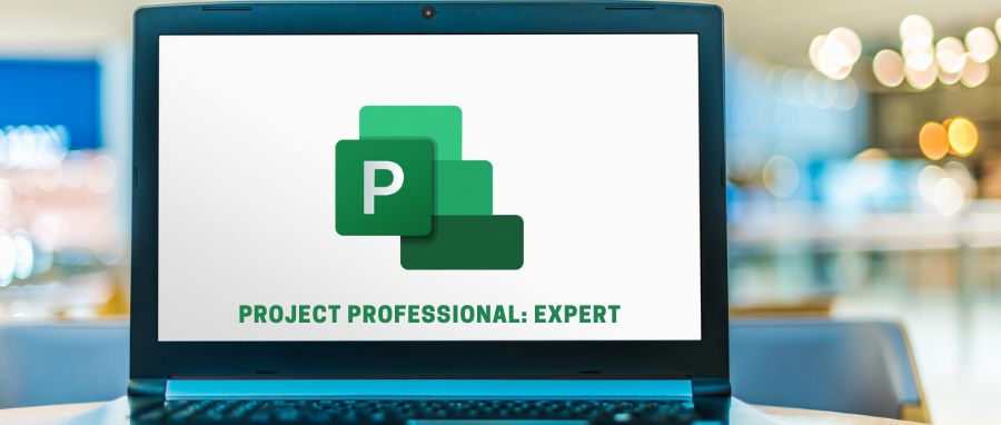 Curso de Project Professional: Expert